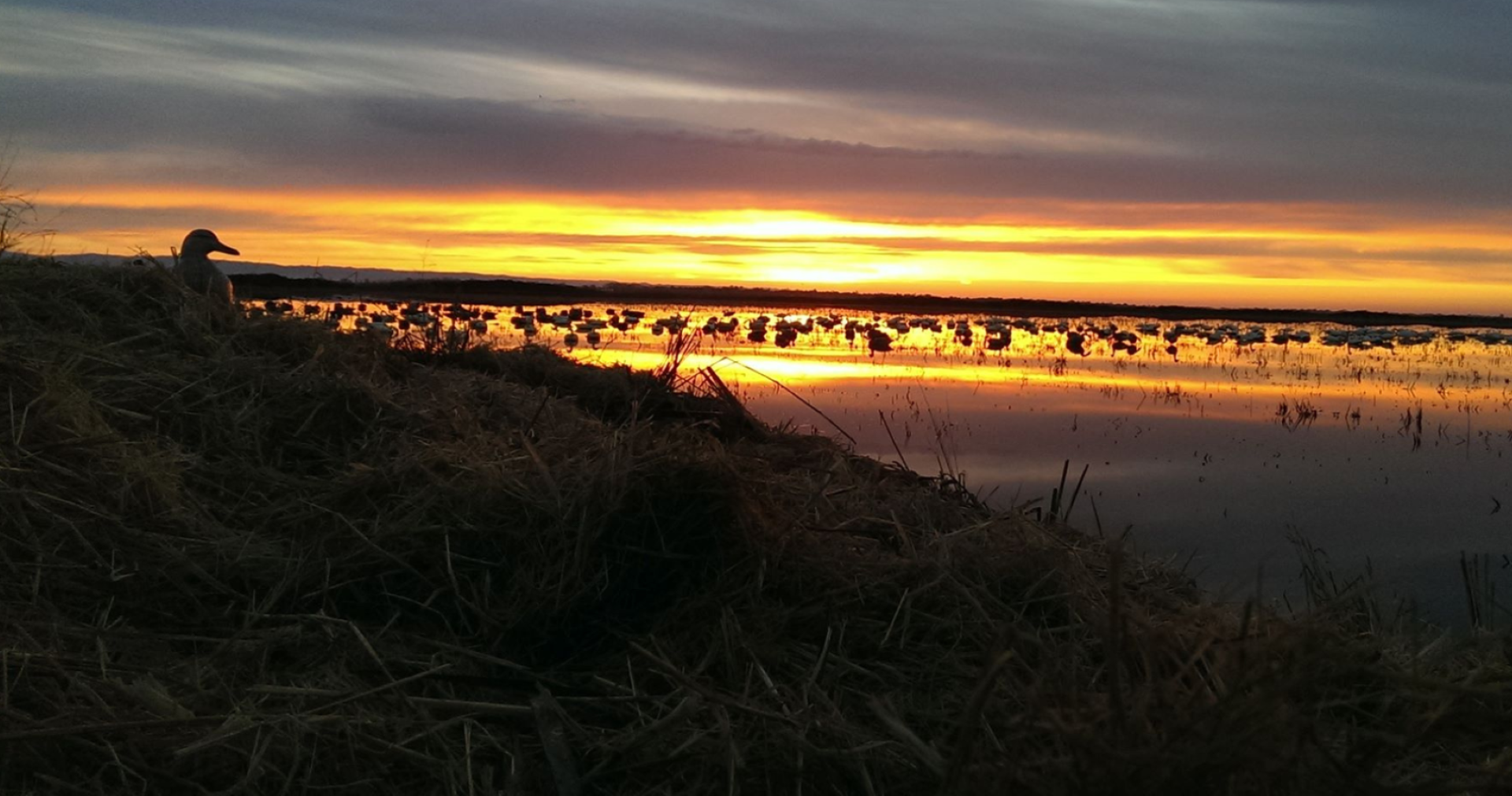 Butte City Hunting Club - Sunrise